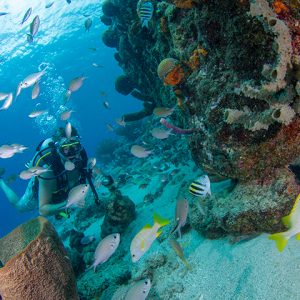Montego Bay Dive Cruise